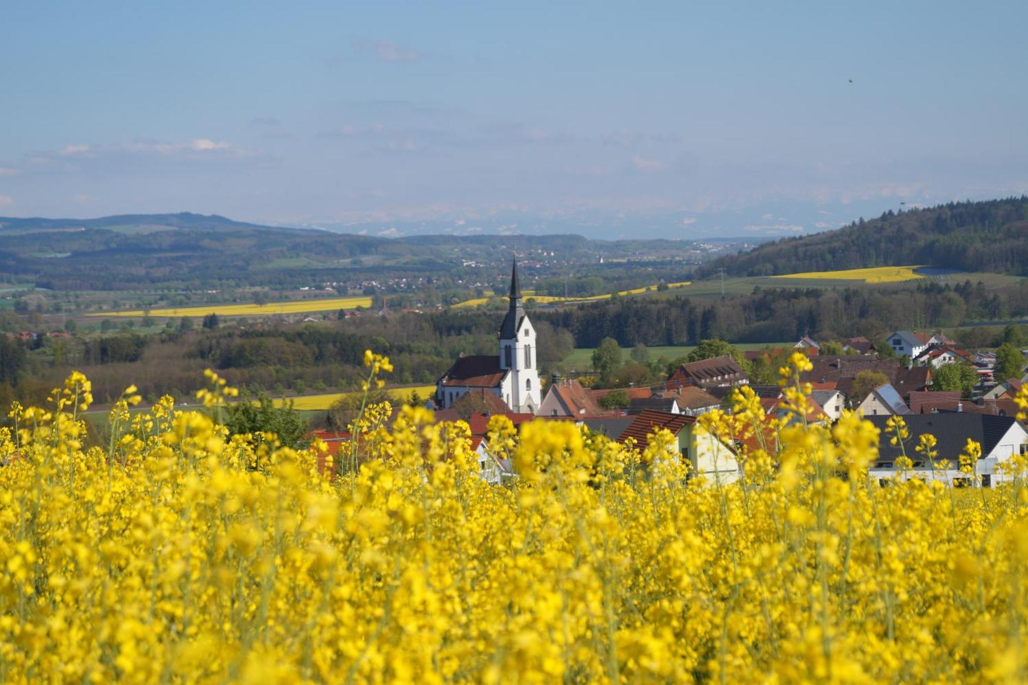 Landhotel Schellenberg Uberlingen Exteriör bild