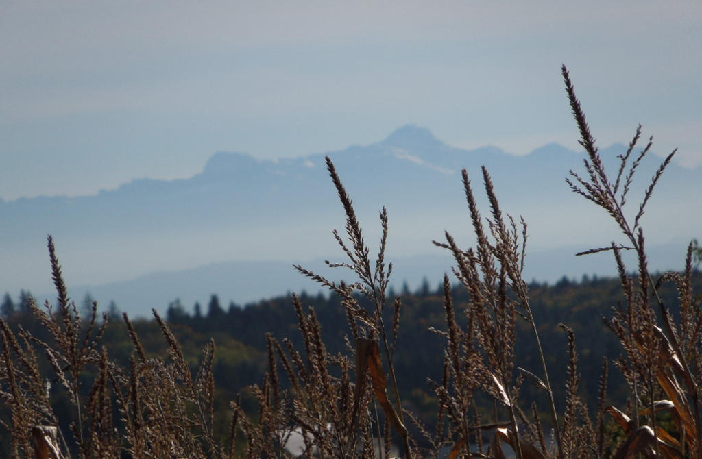 Landhotel Schellenberg Uberlingen Exteriör bild